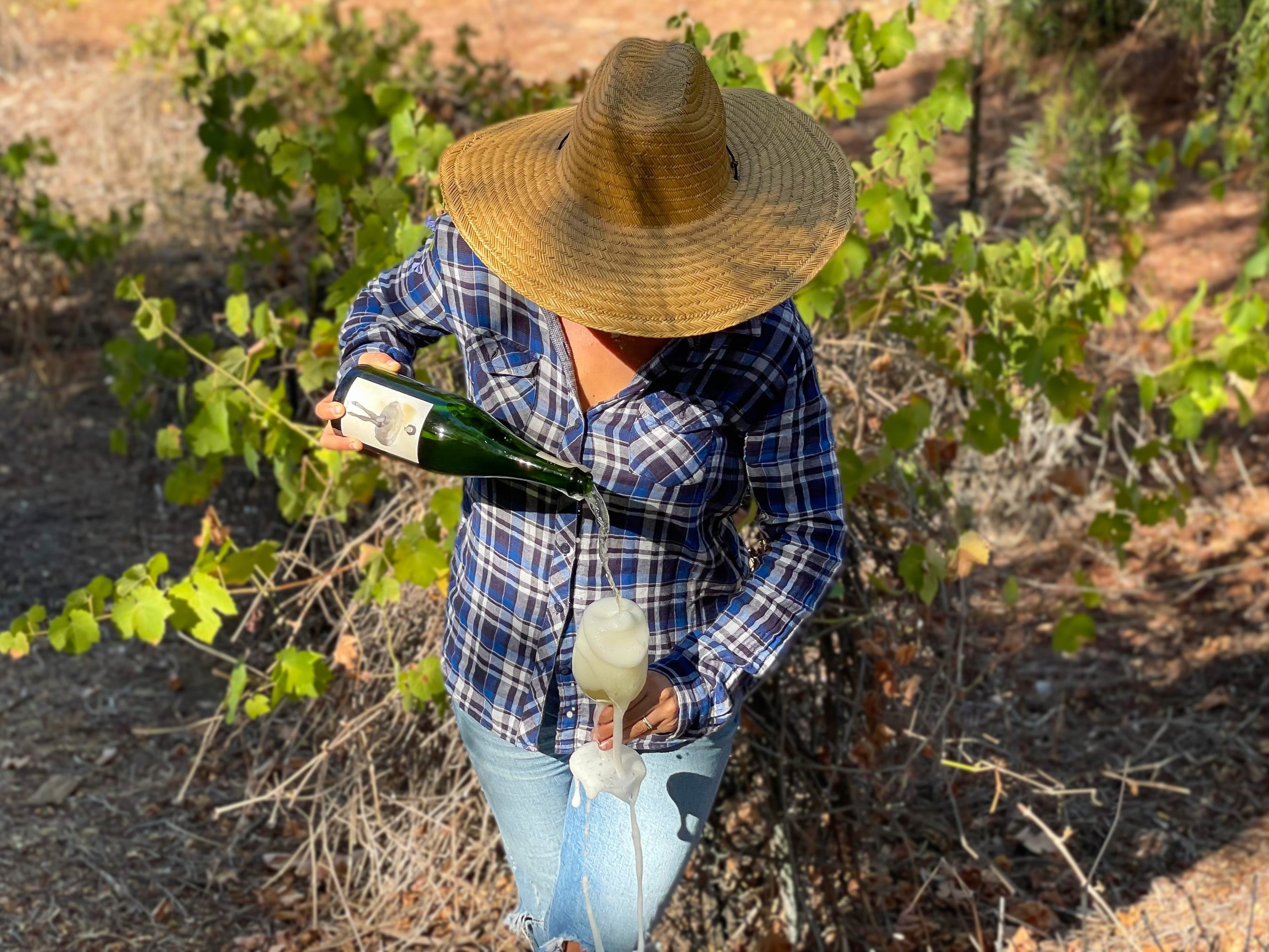 Guildford Green Wine Company