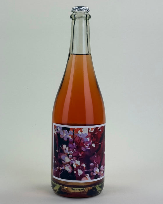 Johan Vineyards | Pet Nat Pinot Noir