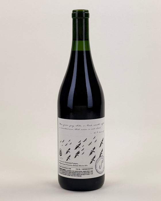 Scar of the Sea | 'Bassi Vineyard' Syrah